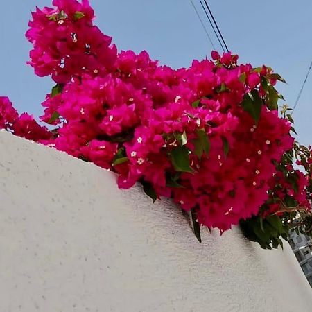 סרנדה Ona Apartament מראה חיצוני תמונה
